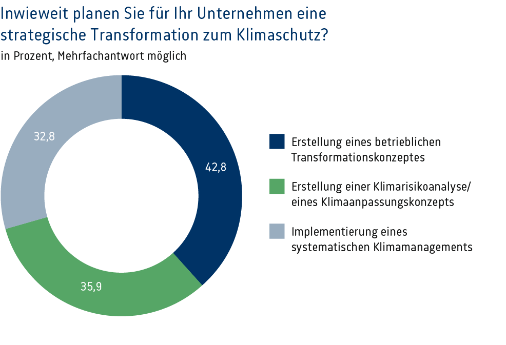 WIZ-aktuell-2024-07-Energiewende-strategische-Transformation-web