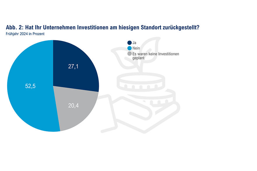 Konjunktur Frühjahr - Sonderfragen